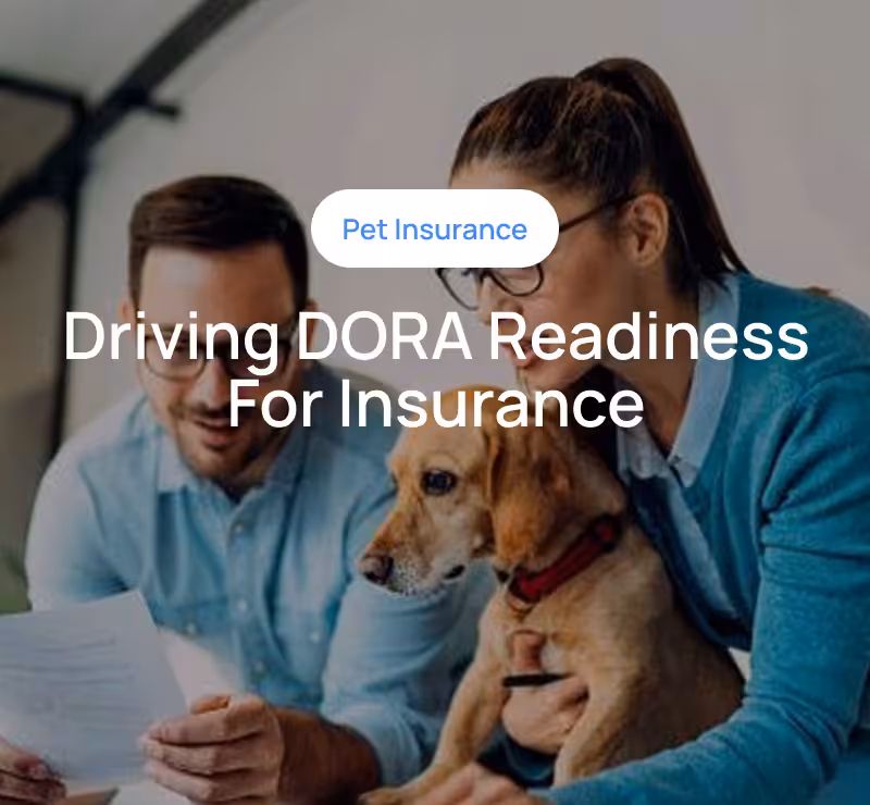 DORA Gap Analysis & Risk Enablement